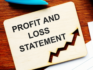 profit and loss statement