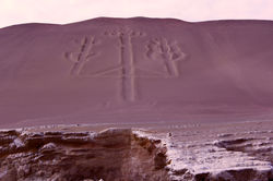 Paracas rock art