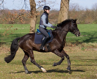Gelände Reiten