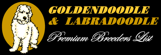 GoldendoodleLabradoodlePremiumBreedersCl