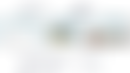 日本初の事例に学ぶ！Wix テンプレート販売のリアルと成功ポイント