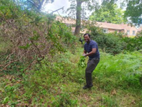 UK - Region 1 Tree Planting