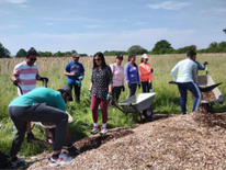 UK - Heston Sai Centre Tree Planting