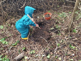 UK - Region 7 Tree Planting