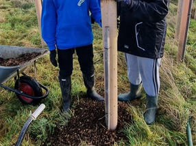 UK - Region 2&7 Tree Planting