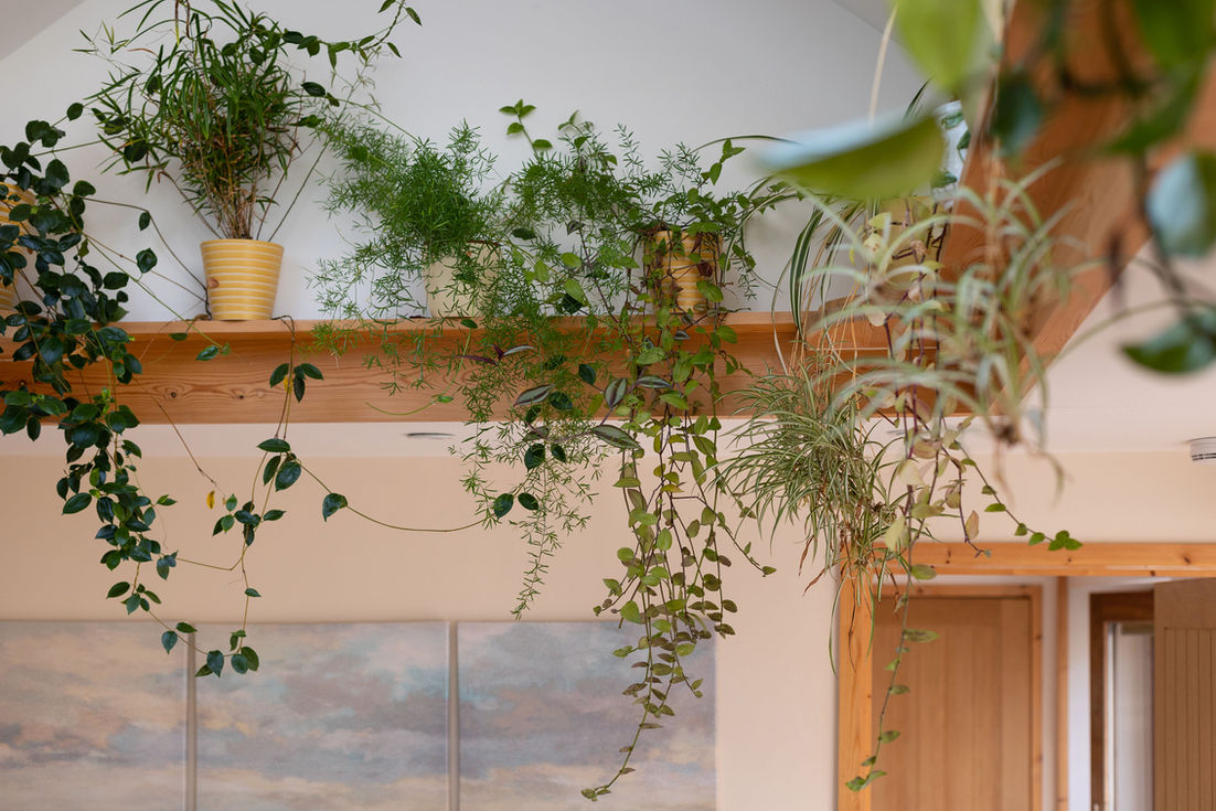 The Apartment at The Manor, Bratton Clovelly