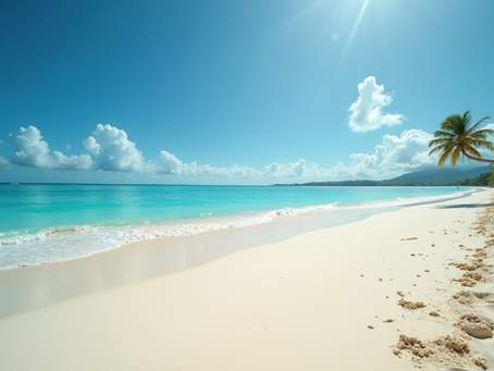 Step-by-Step Guide to Caribbean Citizenship by Investment