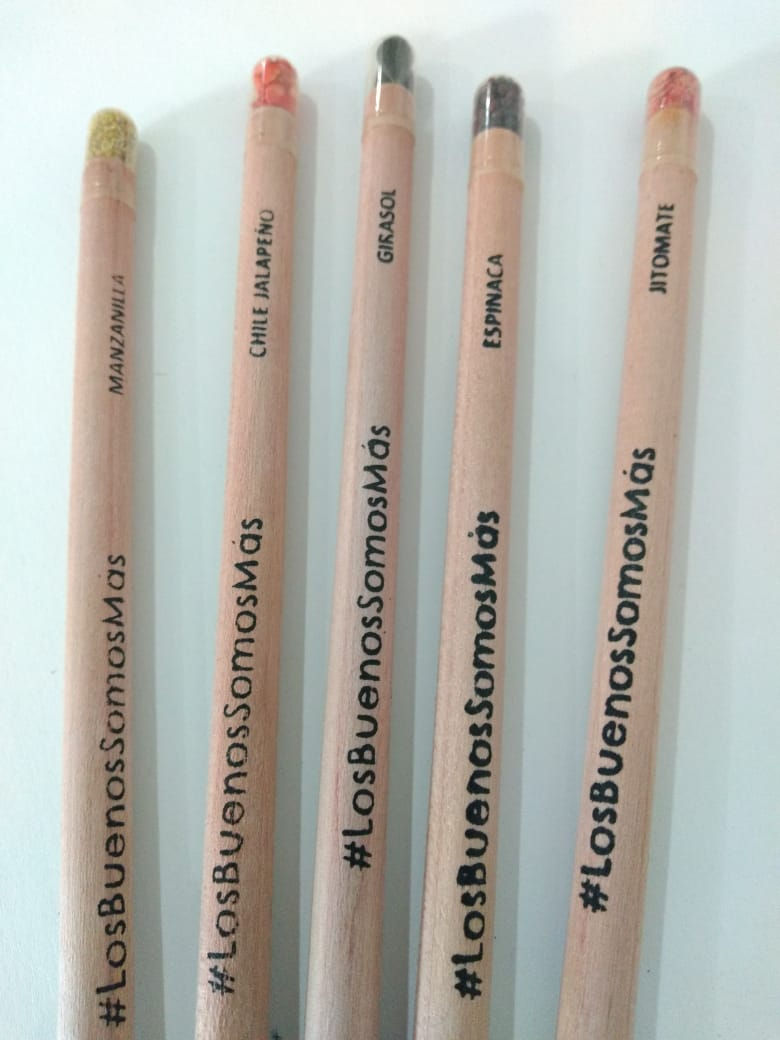 Miniatura: Lápices Ecológicos con Semillas