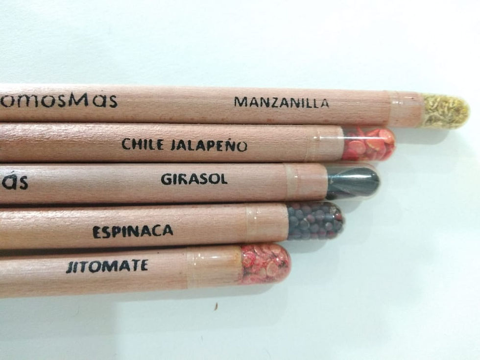 Miniatura: Lápices Ecológicos con Semillas