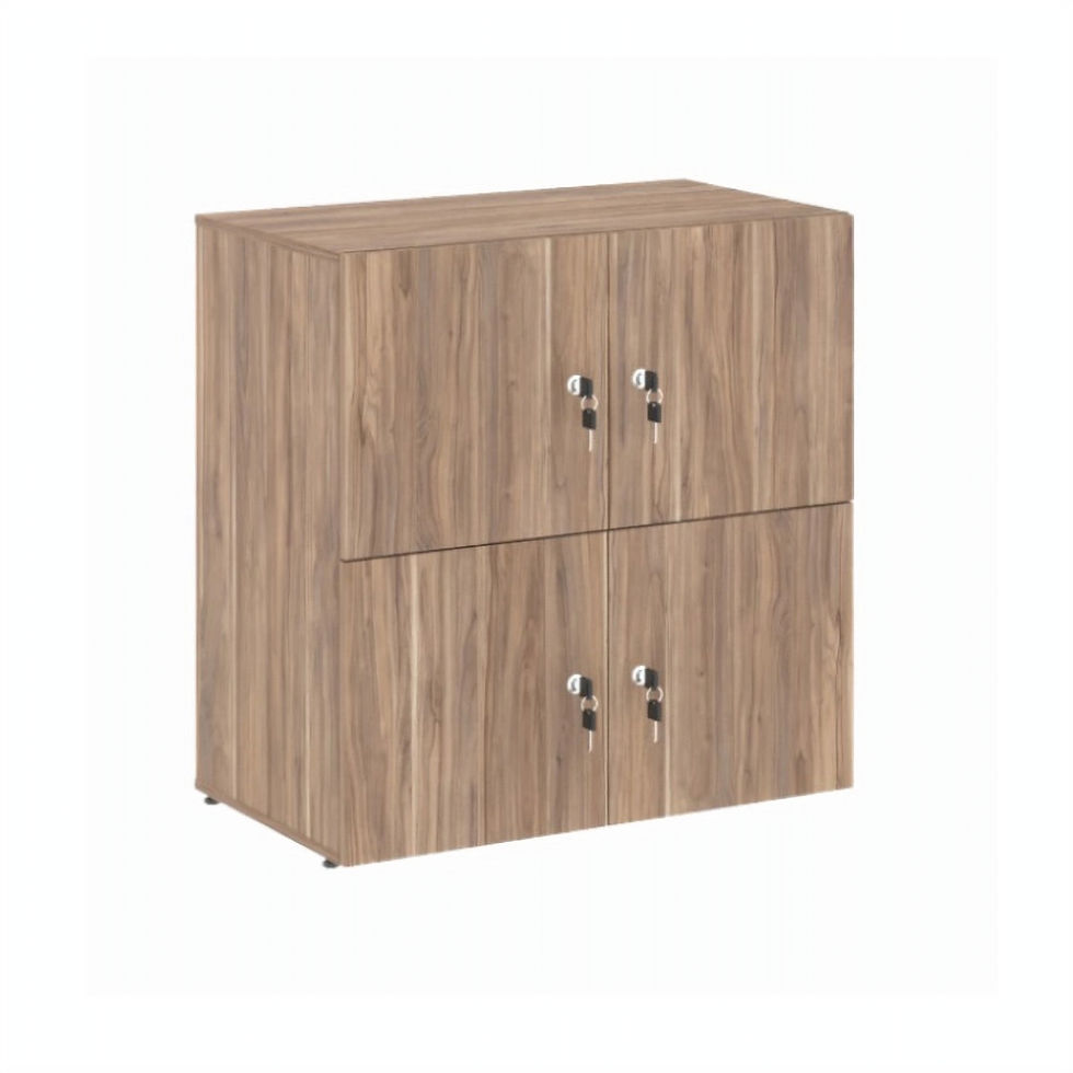 Locker PractiMuebles