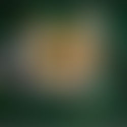 Meatless Farm introduceert als eerste plantaardige Aziatische borrelsnacks