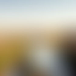 Omvangrijke erfenis maakt aankoop unieke Guadagnini-viool door Muziekinstrumenten Fonds mogelijk