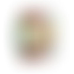 Snelgroeiende Meatless Farm wil schap in Nederlandse supermarkt veroveren