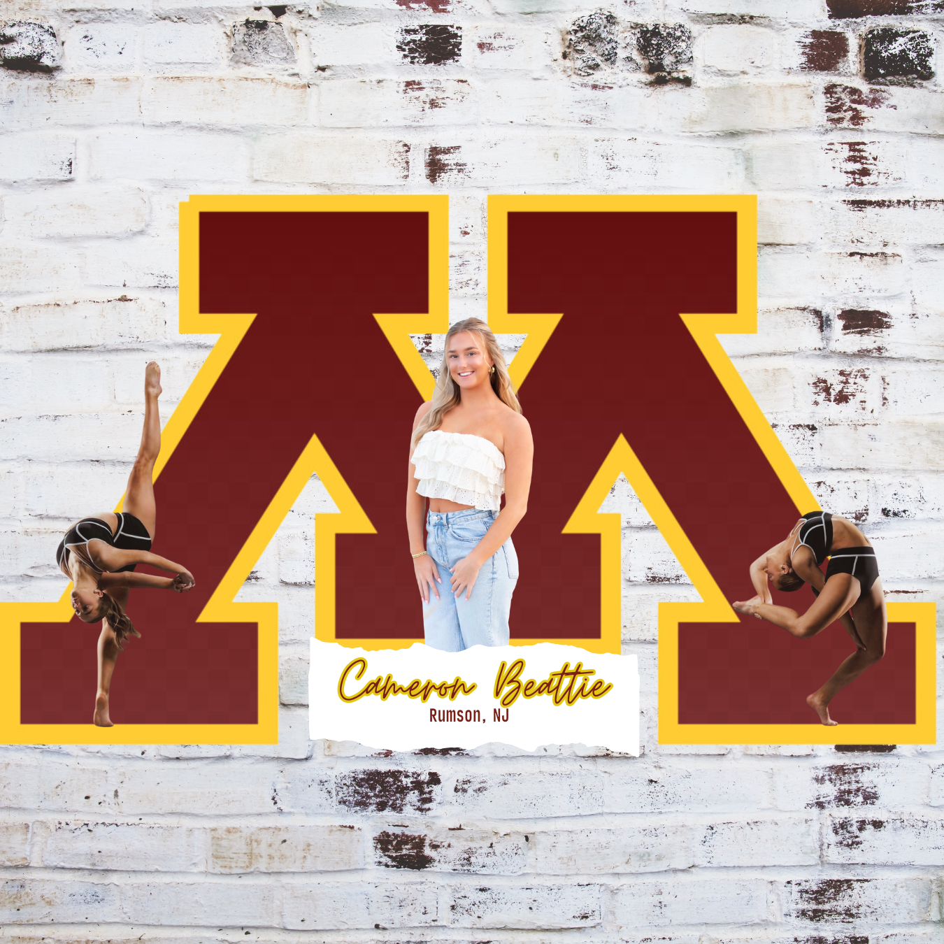 Team/Common-App Submission Video