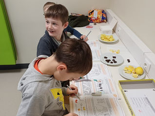 5 Sinne hautnah erleben (2A)