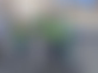 Radführerschein 2024