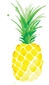 Suivi nutritionnel dans le gers à Fleurance