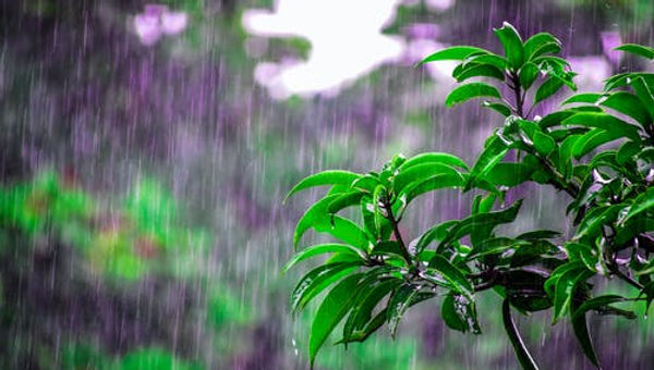Monsoon Coming Back to Prescott Area