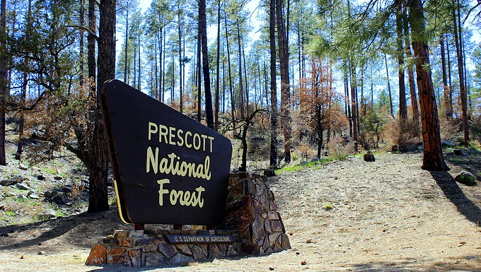 Weather Damages Roads in Prescott National Forest