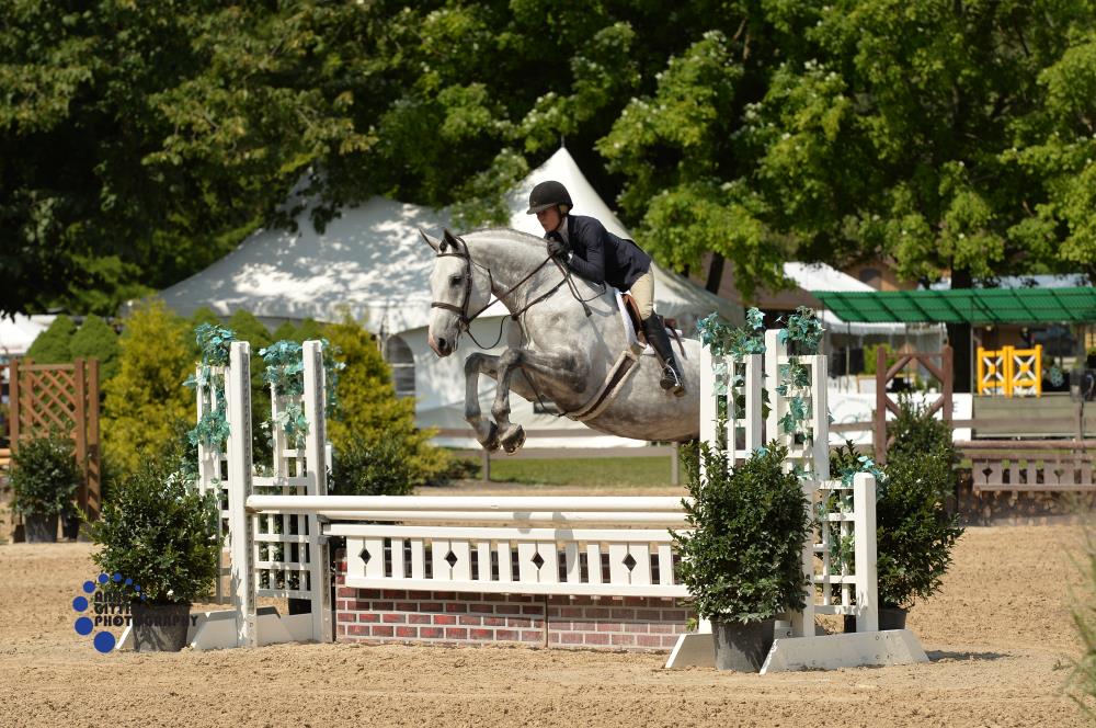 Hunter/Jumper Alpine Farms United States