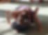 20190915_102115.jpg
