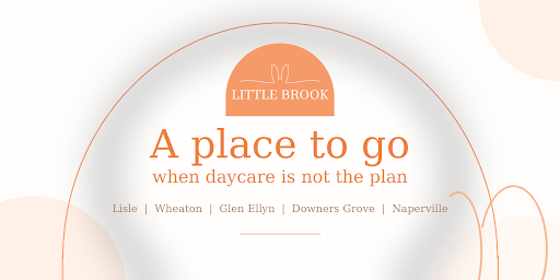 Where to Take Young Kids When You Do Not Need Daycare Near Lisle