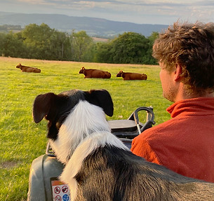 Start enjoying the benefits of MyFarmWorks