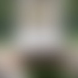 #iorestoacasa 2 Hai girato il materasso?
