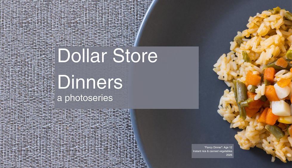 Header image with a plate of rice and vegatables and overlay text that says "Dollar Store Dinners: a photoseries"