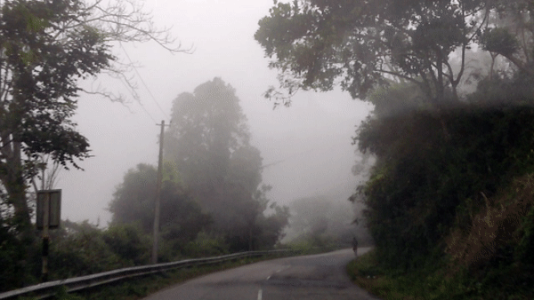 ezgif.com-gif-maker (3).gif