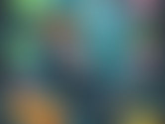 Frustration: The Bogus Briefcase - Inaccurate Online Reviews