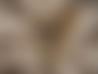 Inside the Mind of a Cigar Aficionado: The Fear of the Falling Ash - Protecting Our Havens