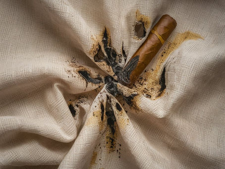 Inside the Mind of a Cigar Aficionado: The Fear of the Falling Ash - Protecting Our Havens