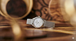 montre.jpg