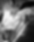 Captura de pantalla 2025-05-21 a la(s) 13.39.26.png
