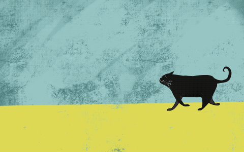 Cat_Walking.gif