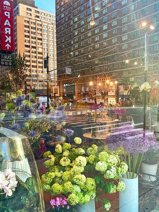 OFFICE HAZUKI 葉月りん