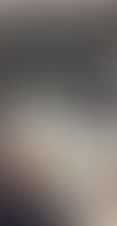 #Las100MentirasDeRegina #Mentiras