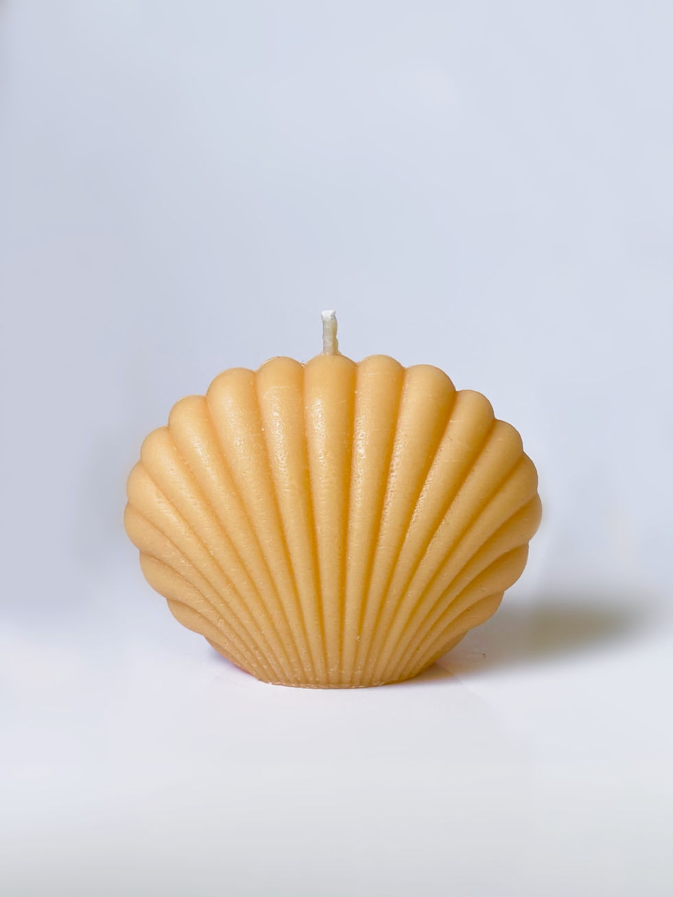 Thumbnail: Shell