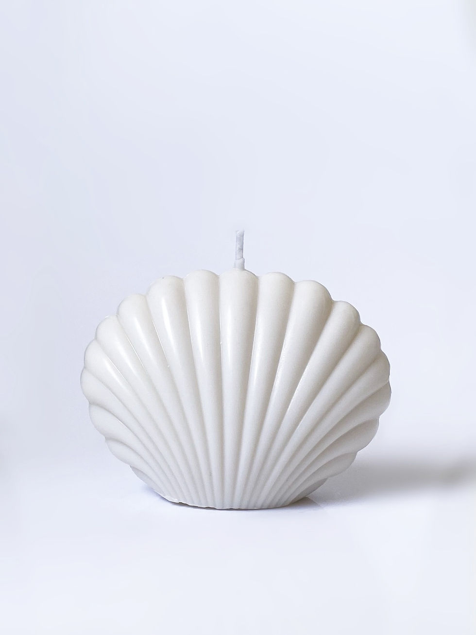 Thumbnail: Shell