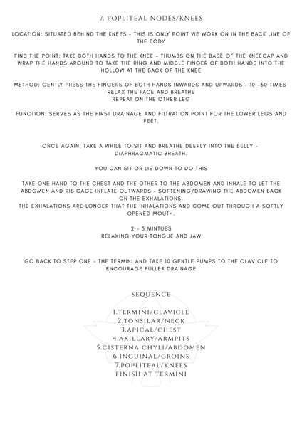 Body Medicine Lymphatics 4.png