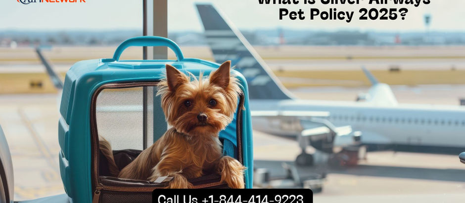 +1-844-414-9223 Guide to Silver Airways Pet Policy – Air1Network
