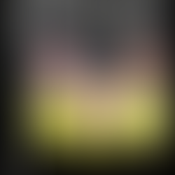 Hampshire Women's 2026 T20 Blast Cricket Draft Preview