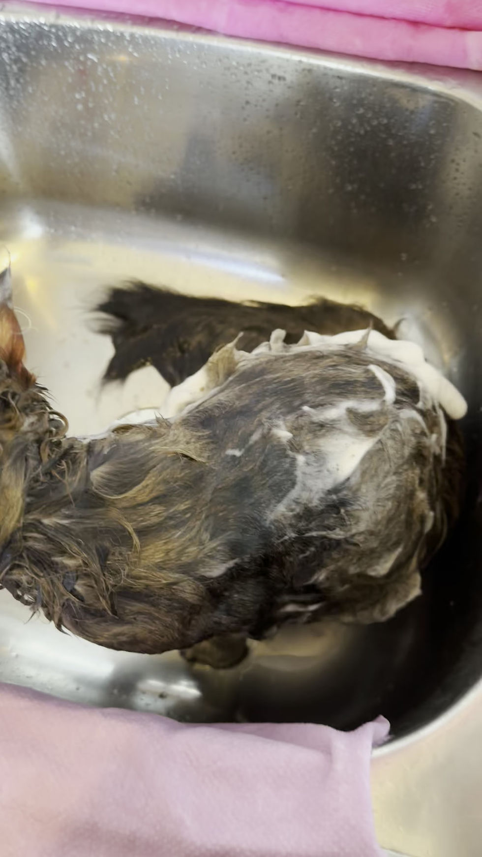 Thumbnail: Electric Foaming Spray – Duckling