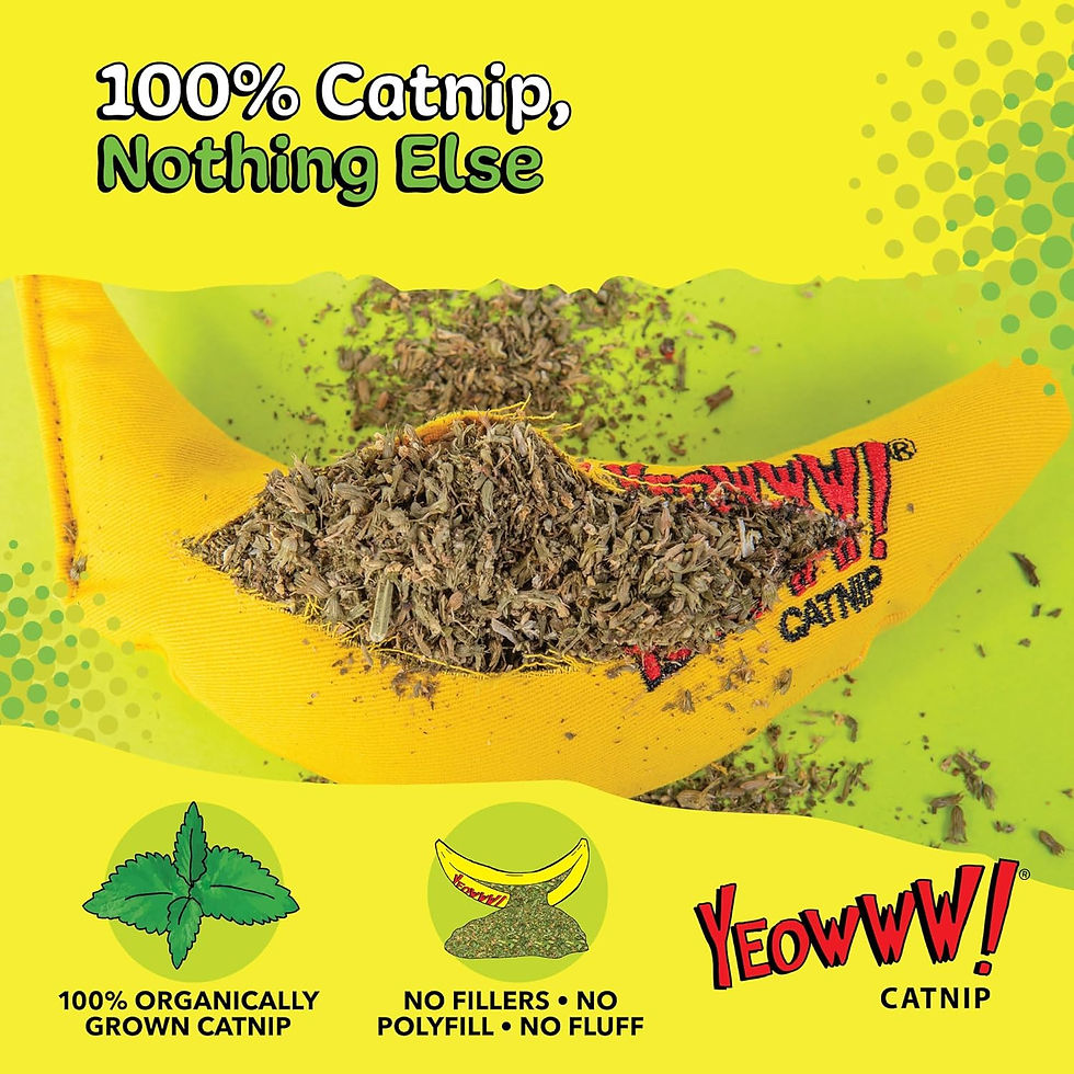 Thumbnail: YEOWWW! Catnip Banana