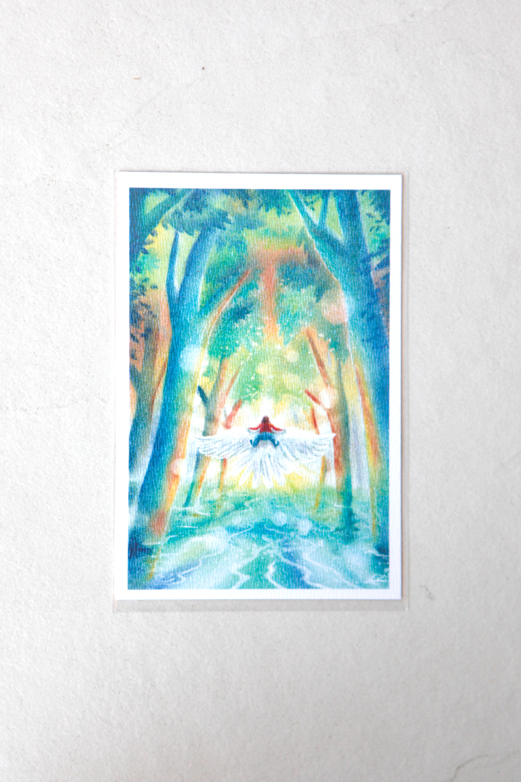 #10 Kingdom Explorers- Single Postcard