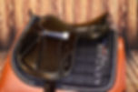 _DSC0206.jpeg