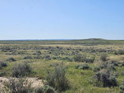 160 acre Cross Pasture