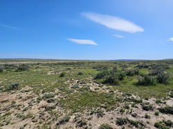 160 acre Cross Pasture