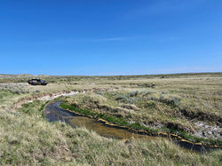 160 acre Cross Pasture